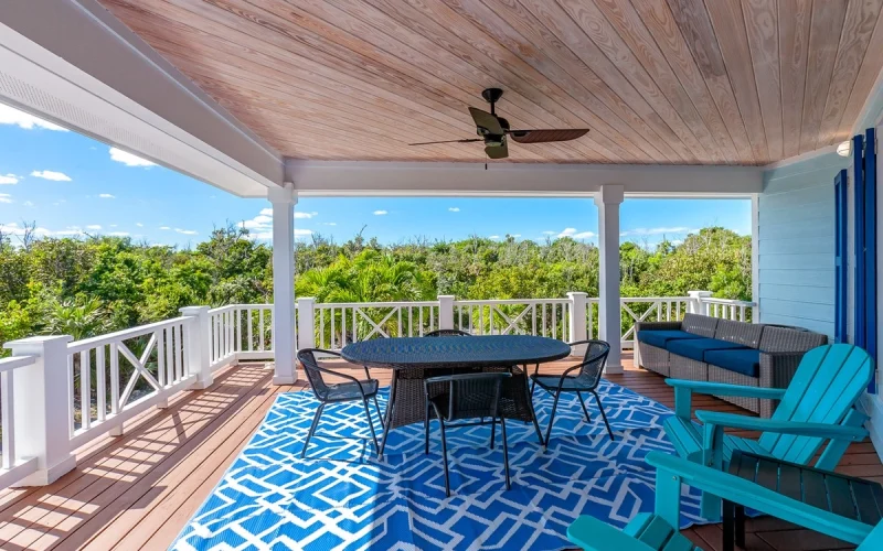 Blue Tang - Abaco - Elboy Cay (24)