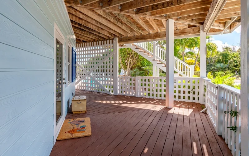 Blue Tang - Abaco - Elboy Cay (26)