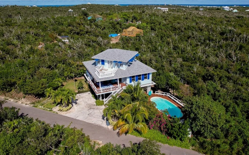 Blue Tang - Abaco - Elboy Cay (30)