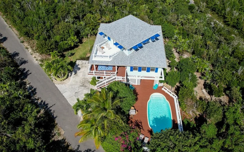 Blue Tang - Abaco - Elboy Cay (33)