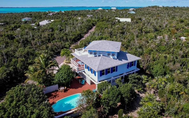 Blue Tang - Abaco - Elboy Cay (34)