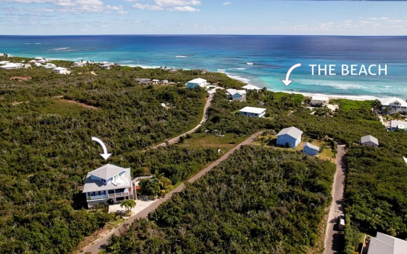 Blue Tang - Abaco - Elboy Cay (36)