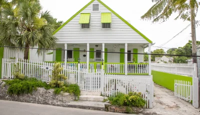 Cotton Tree - Eleuthera - Harbour Island (1)