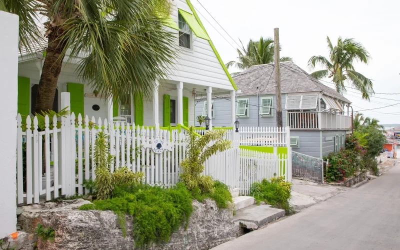 Cotton Tree - Eleuthera - Harbour Island (2)