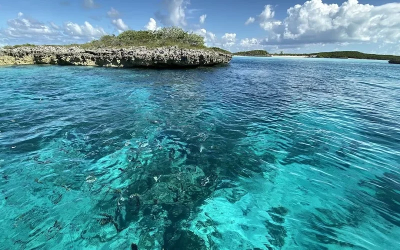 Little Majors Spot - Exuma - Exuma Cays (29)