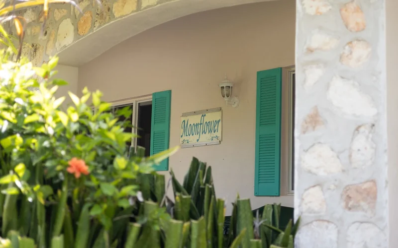 Moonflower - Gregory Town - Eleuthera (30)