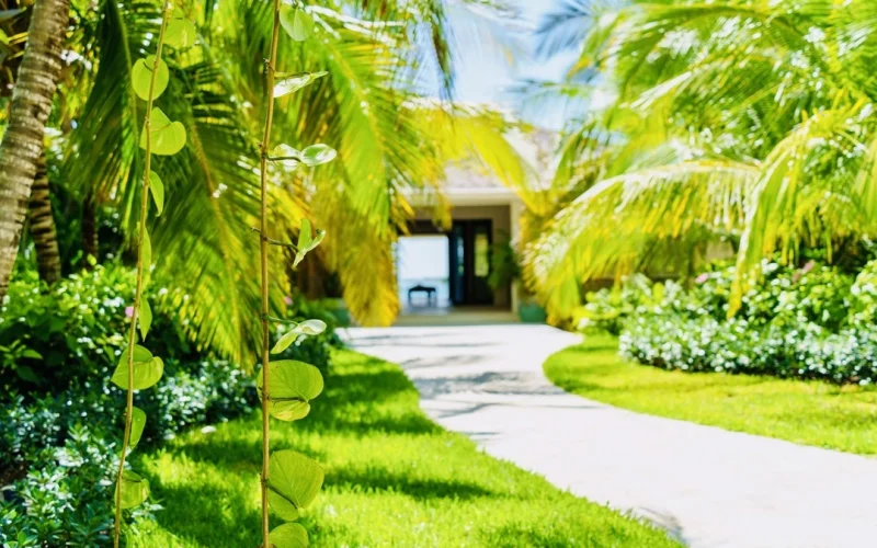 The Beacon Hill Estate - Eleuthera - Harbour Island (6)