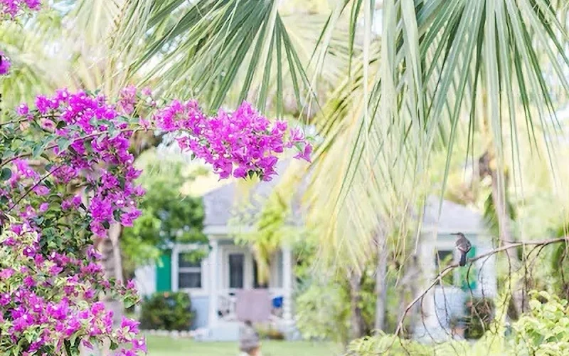 Touchstone House - Eleuthera - Harbour Island (40)